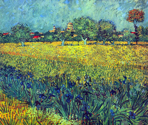 View of Arles with irises